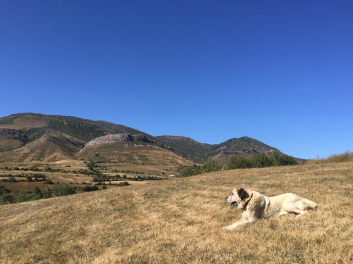 Cielo de la cordillera Cantábrica, con Selva descansando